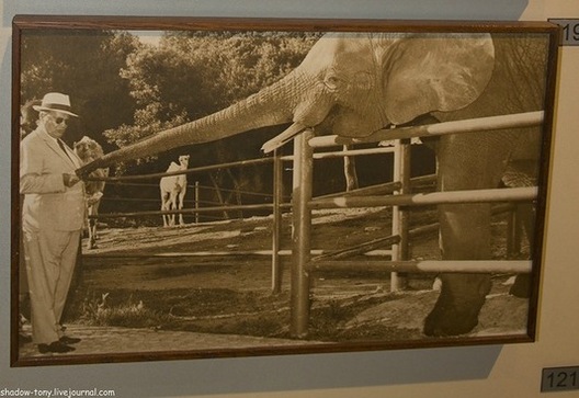 0_931dc_10002378_xl.jpg 0_931dc_10002378_xl.jpg