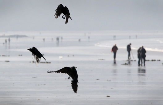 620_400_1426943461_6657.jpg 620_400_1426943461_6657.jpg