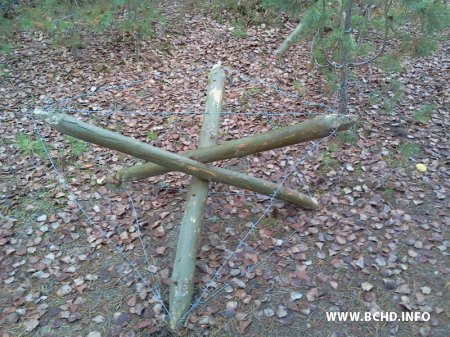 1383641954_foto2329.jpg 1383641954_foto2329.jpg