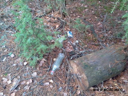 1383641977_foto2374.jpg 1383641977_foto2374.jpg