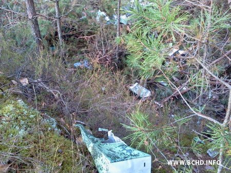 1383641988_foto2390.jpg 1383641988_foto2390.jpg