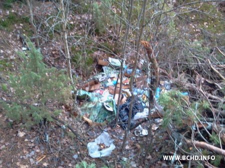 1383642018_foto2386.jpg 1383642018_foto2386.jpg