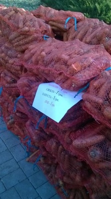 1527552.jpg 1527552.jpg