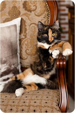 1adbbb1e7fec191777221a7eaaf1e0a30b2075e1.jpg 1adbbb1e7fec191777221a7eaaf1e0a30b2075e1.jpg