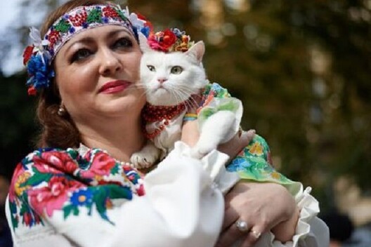 20150521082415_600x400.jpg 20150521082415_600x400.jpg