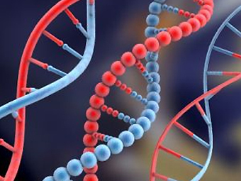 27041051.jpg 27041051.jpg