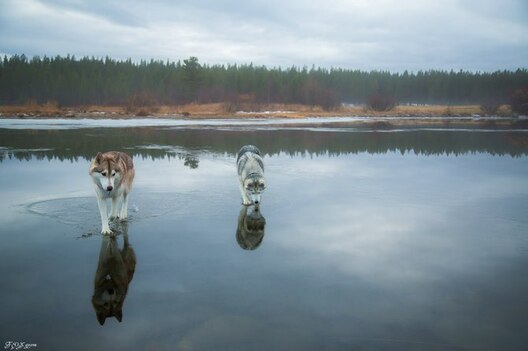 602805.jpg 602805.jpg