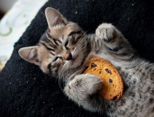 620x4706a9905c2317171e3b0de2ef83e2962291f419dda.jpg 620x4706a9905c2317171e3b0de2ef83e2962291f419dda.jpg