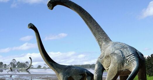 Навукоўцы: тытаназаўры прыйшлі ў Аўстралію праз Антарктыду