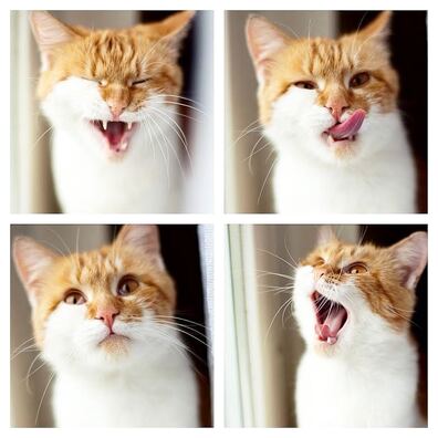 af5bea56af5fb4435273a15b98693304ddf30c38.jpg af5bea56af5fb4435273a15b98693304ddf30c38.jpg