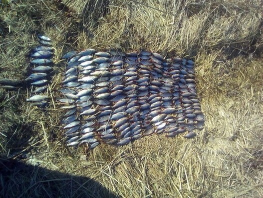 brakanjerstva2.jpg brakanjerstva2.jpg