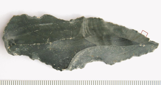 250-тысячагадовыя інструменты распавялі пра рацыён ранніх людзей