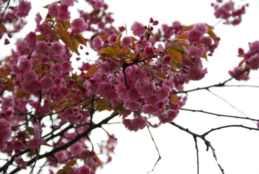 dsc_1281_logo.jpg dsc_1281_logo.jpg