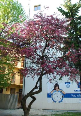 dsc_5056_logo.jpg dsc_5056_logo.jpg