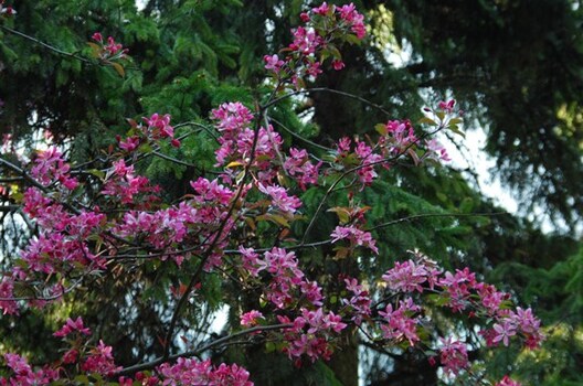 dsc_5063_logo.jpg dsc_5063_logo.jpg