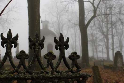 f491b9d6_1df5_4fa9_9091_9267629f116f.file.jpeg f491b9d6_1df5_4fa9_9091_9267629f116f.file.jpeg