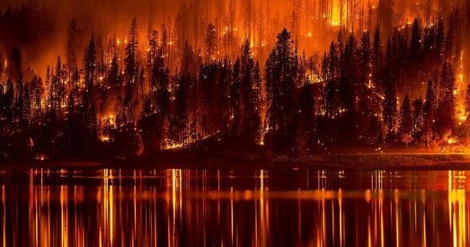 Навукоўцы прагназуюць у гэтым годзе рэкордныя лясныя пажары