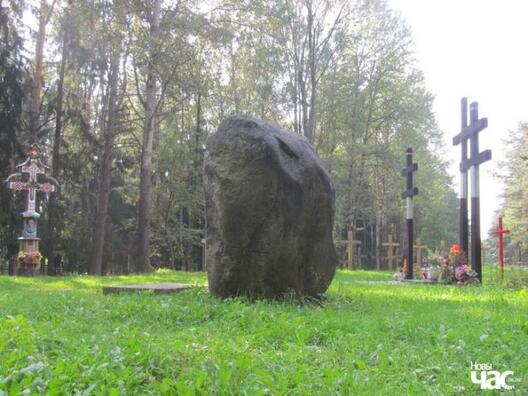 gi_23142_116179_big.jpg gi_23142_116179_big.jpg