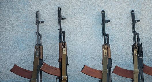 greenhouse5.jpg greenhouse5.jpg