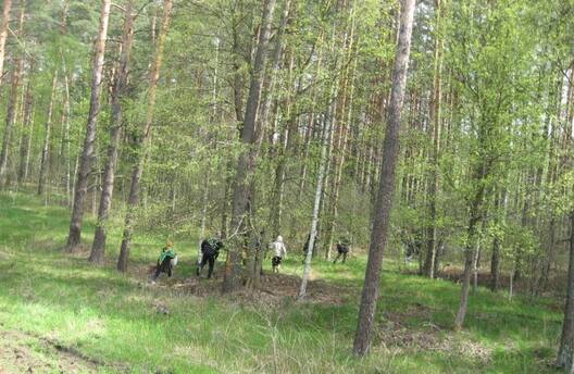 7/8 img_6158_logo.jpg