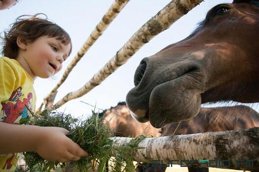 14/14 kirmashkoni15.jpg