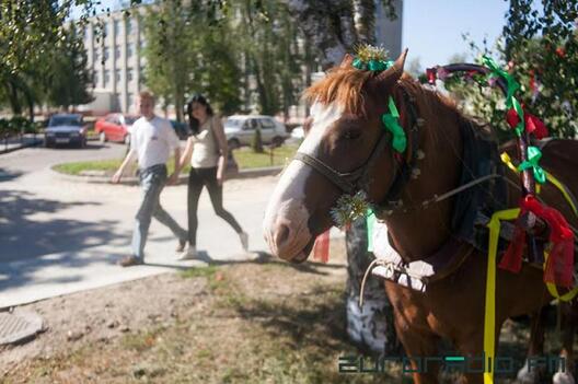 3/14 kirmashkoni4.jpg