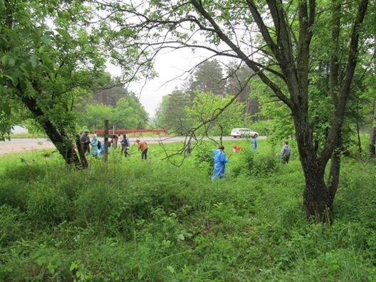 kurapati_talaka_5.jpg kurapati_talaka_5.jpg