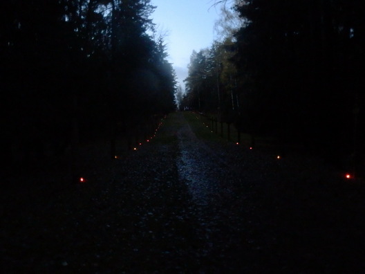 kurapaty_vp_8.jpg kurapaty_vp_8.jpg