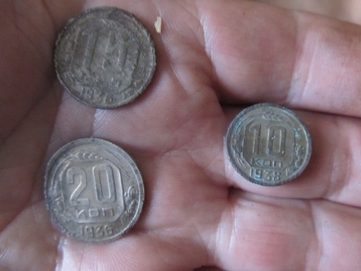 kutas_5.jpg kutas_5.jpg