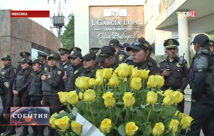 ljubimija_kvetki_markesa.jpg ljubimija_kvetki_markesa.jpg