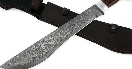 У бельгійскім Шарлеруа ўзброены мачэтэ мужчына напаў на жанчын-паліцэйскіх