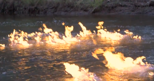 Аўстралійскі дэпутат падпаліў раку (відэа)