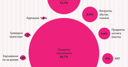 Куды ідуць сямейныя грошы (інфаграфіка)