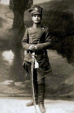 tadeush_ursin_nemcevich_logo.jpg tadeush_ursin_nemcevich_logo.jpg