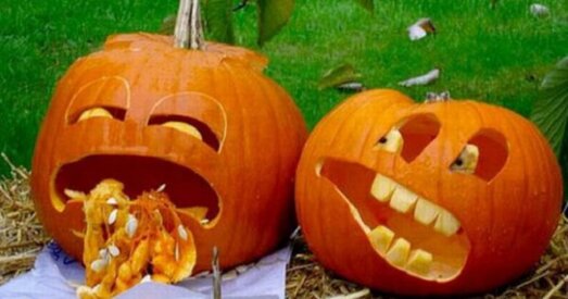 Рэдкая птушка — беларускі фермер