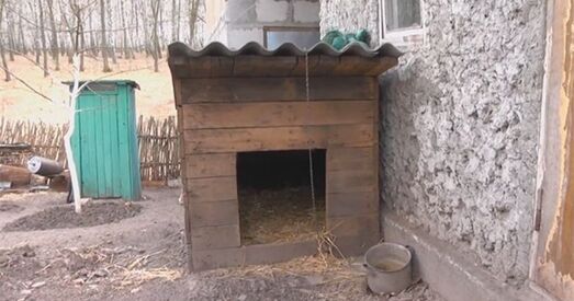 Шок: як у Гомелі забіваюць хворых жывёл (відэа)