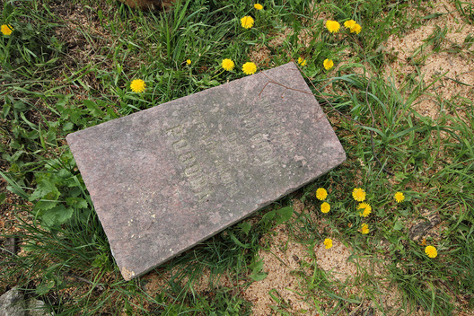 zabor_4.jpg zabor_4.jpg