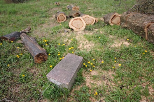 zabor_5_768x512.jpg zabor_5_768x512.jpg