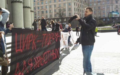 zyrk_aktion_poshug.jpg zyrk_aktion_poshug.jpg